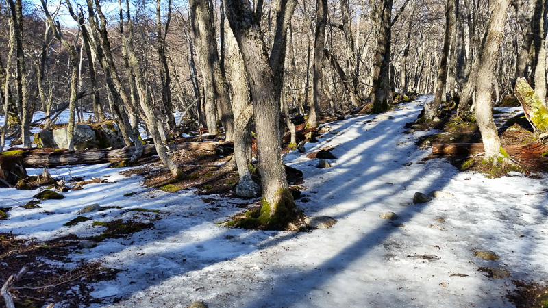 Trilha para Laguna Esmeralda
