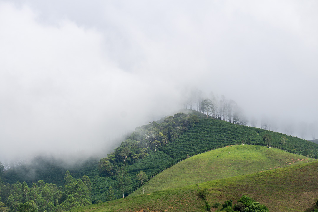 Pousada Café da Mata, Alto Caparaó