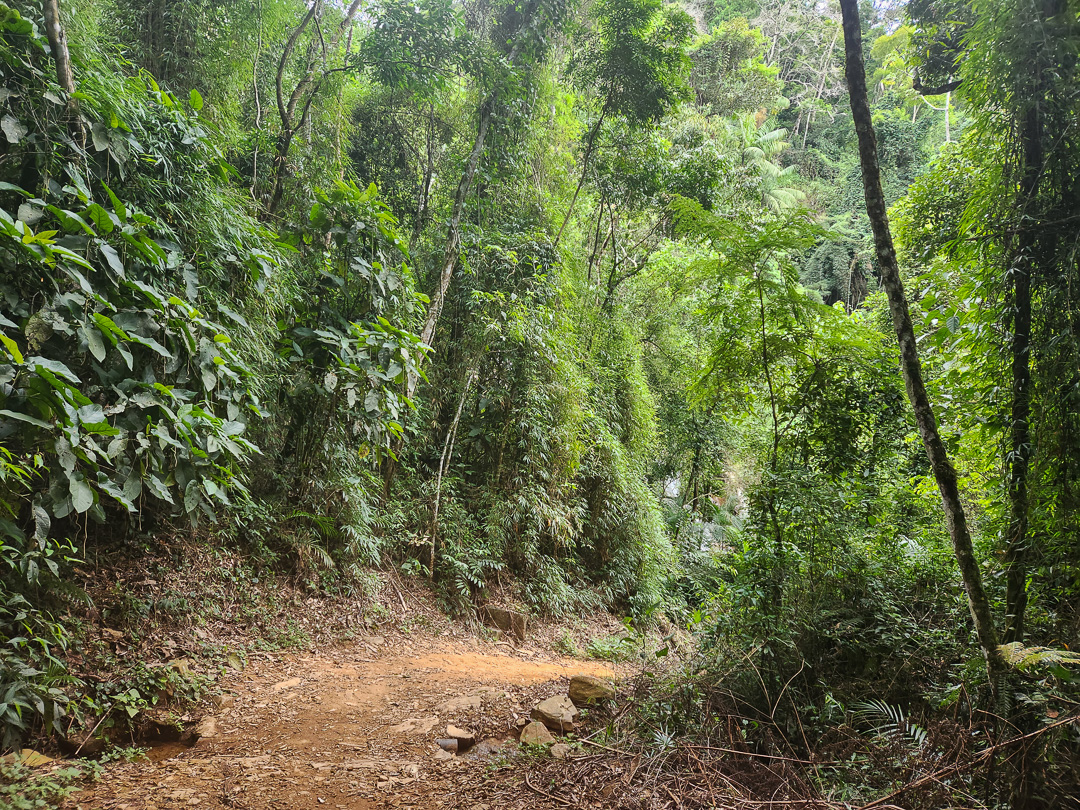 Trilha Poço das Antas