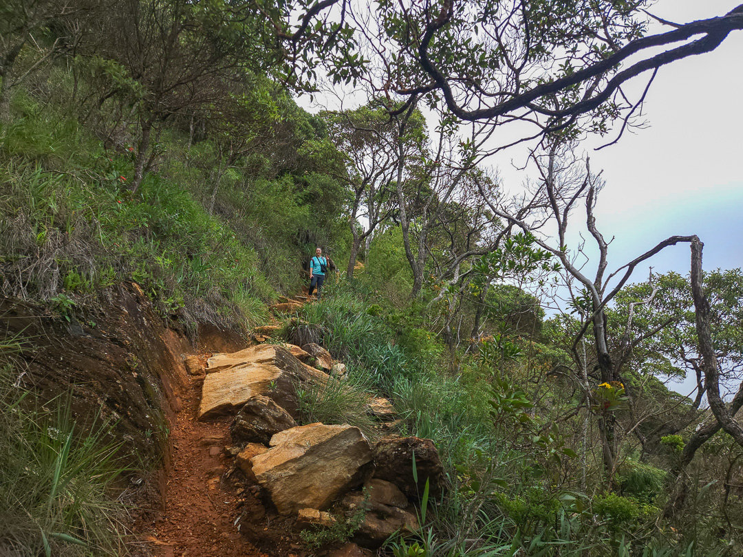 Parque Nacional do Caparaó