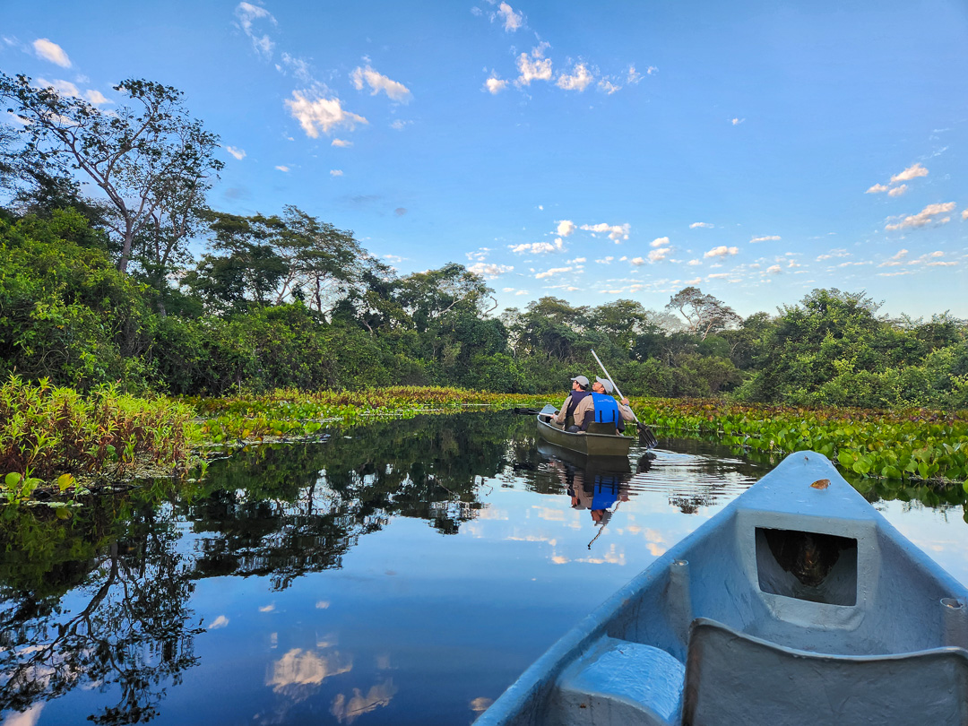Canoa no Pantanal
