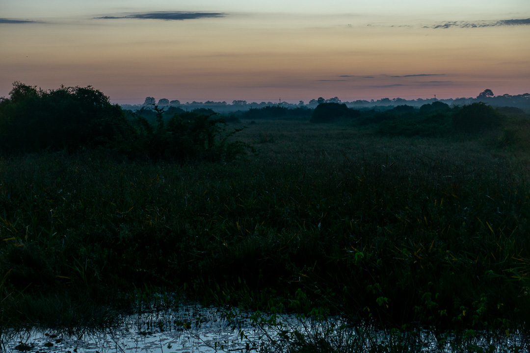 Nascer do sol na Transpantaneira